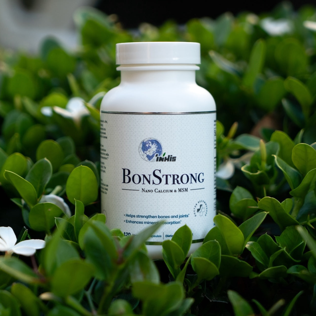 BonStrong Nano Calcium Magnesium & MSM Supplements